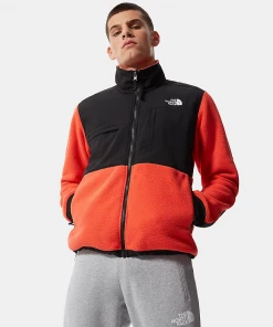 The North Face Maglia Denali 2 Uomo