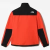 The North Face Maglia Denali 2 Uomo