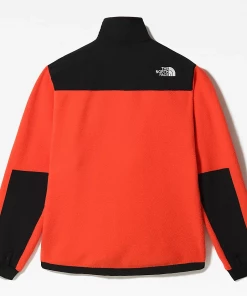 The North Face Maglia Denali 2 Uomo