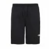 The North Face Pantaloncini Graphic Short Uomo
