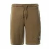 The North Face Pantaloncini Graphic Short Uomo