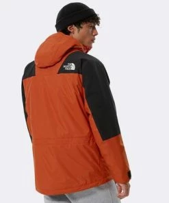 The North Face Burnt Orange Mountain Light Dryvent