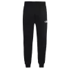 The North Face Fine Pant 2